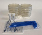 Fair project agar plates